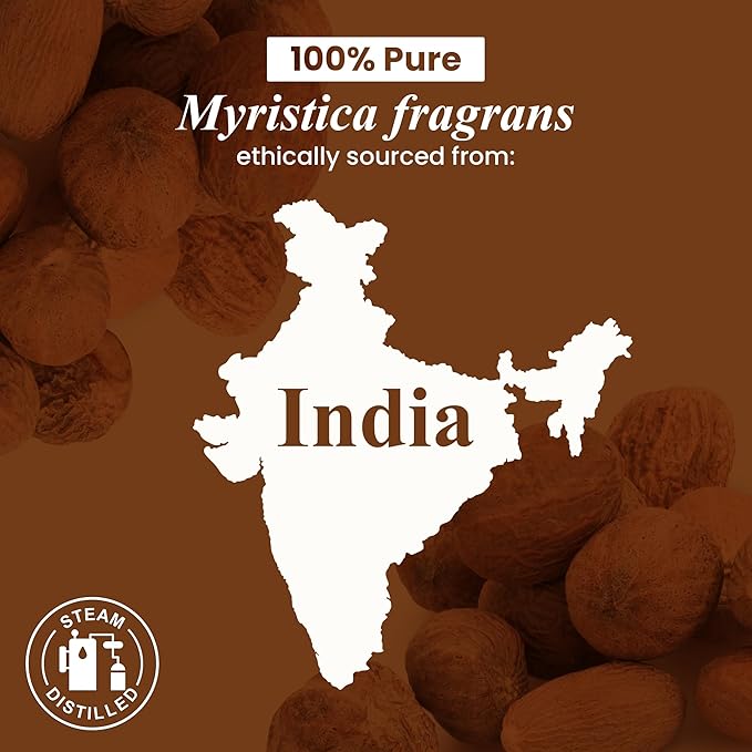 Handcraft Blends Nutmeg Essential Oil – 1 Fl Oz – 100% Pure and Natural – Premium Grade Essential Oil for Diffuser and Aromatherapy, Skin, Massage, Candle and Soap Making Fragrance