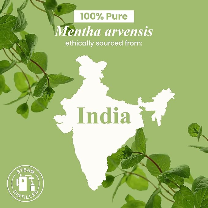 Handcraft Blends Peppermint Essential Oil – 1 Fl Oz – 100% Pure and Natural – Premium Grade Essential Oil for Diffuser and Aromatherapy, Skin, Massage, Candle and Soap Making Fragrance