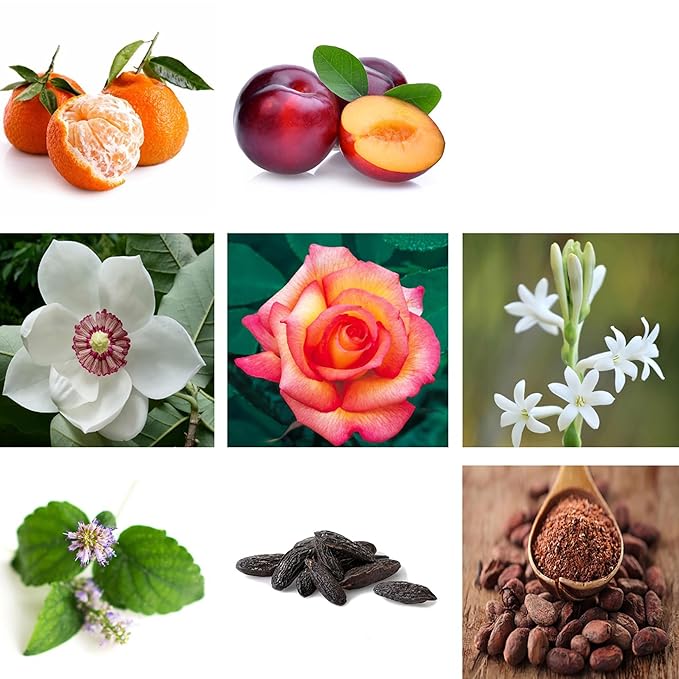 RACHEL ZOE Warrior Gift Set - Designer Perfume, Body Spray - Fruity Eau de Parfum Sprays - Ideal Gift Set for Women - 3 pc