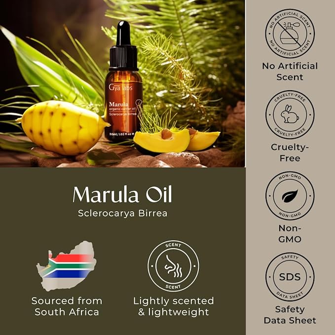 Gya Labs Marula Carrier Oil - 1 Fl Oz - for Hair, Skin, Face, Scalp & Body Massage