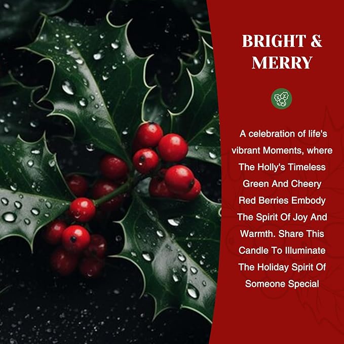 M&SENSE Holiday Scented Candle Gift for Women and Men - Cinnamon Scent, 10 oz Soy Wax, Birthday,Holiday,Christmas,New Year Gift