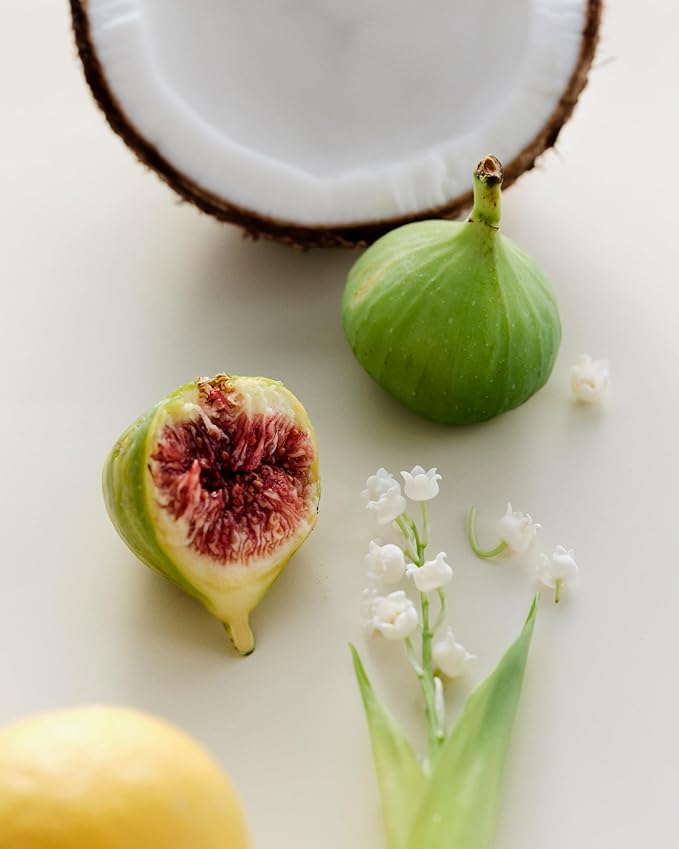 Maison Louis Marie - No.13 Nouvelle Vague Natural Roll-On Perfume Oil | Luxury Clean Beauty + Non-Toxic Fragrance (0.5 fl oz | 15 ml)