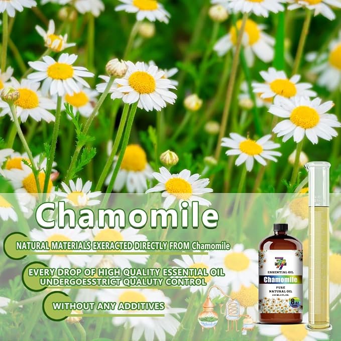 Chamomile Essential Oil (8 oz / 240 ml) – Chamomile Oils for diffusers, humidifiers, Home Baths, Cleaning Products, Yoga, DIY Soaps and DIY Scented Candles