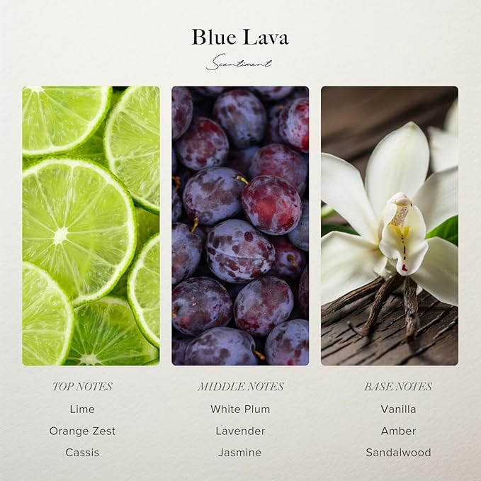 Scentiment Diffuser Oil - Blue Lava Designer Collection | Aromatherapy Home Fragrance | Luxurious Scent with Notes of Lime, Orange Zest, Cassis, Green Leaves (20 mL)