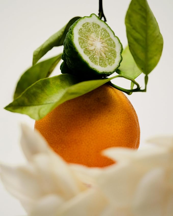 Maison Louis Marie - No.12 Bousval Natural Roll-On Perfume Oil | Luxury Clean Beauty + Non-Toxic Fragrance (0.5 fl oz | 15 ml)