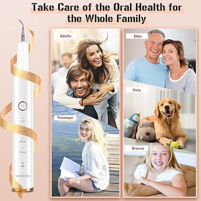 Plaque Remover for Teeth, Electric Tooth Cleaner Tartar Remover for Teeth with LED Light,4 Modes Rechargeable Teeth Cleaning Kit with Dental Tools, 2 Replaceable Heads (White A)