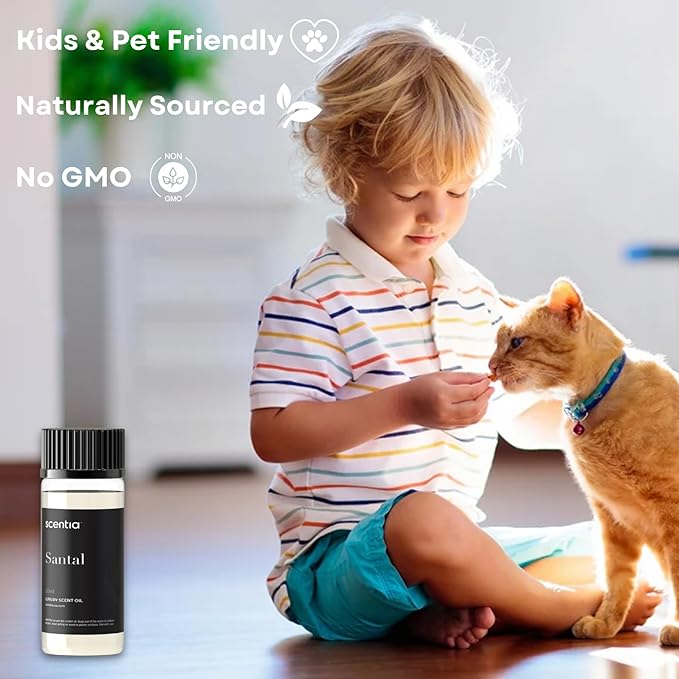 Scentia Santal Diffuser Oil 50ml – Santal 33 Inspired Aroma – Rich Sandalwood, Amber, Vanilla & Musk – Long-Lasting Scent for Home, Office, Cold-Air & Ultrasonic Diffusers, Thanksgiving Gift