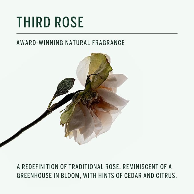 CORPUS - Natural Deodorant Stick For Sensitive Skin | Aluminium + Baking Soda Free | Unisex, Non-Toxic, Made In The USA (Third Rose)