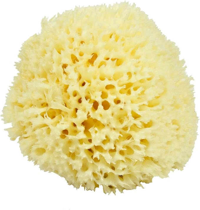 Renewable Sea Wool Sponge, Hand Cut, Large, Approx. 6-7"