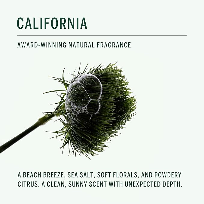 CORPUS - Natural Deodorant Stick For Sensitive Skin | Aluminium + Baking Soda Free | Unisex, Non-Toxic, Made In The USA (California)