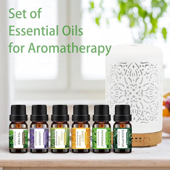 Earnest Living Essential Oil Diffuser Gift Set White Ceramic Diffuser 100 ml & Essential Oil Set Timers Night Lights Auto Off for Women