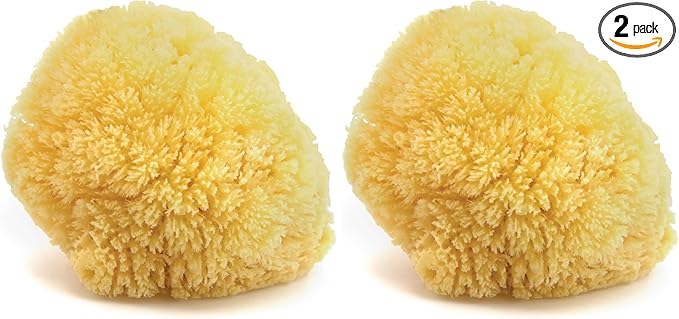 Neptune Caribbean Sea Sponge, Hand Cut, Large, Approx. 6-7 inches (Pack of 2)