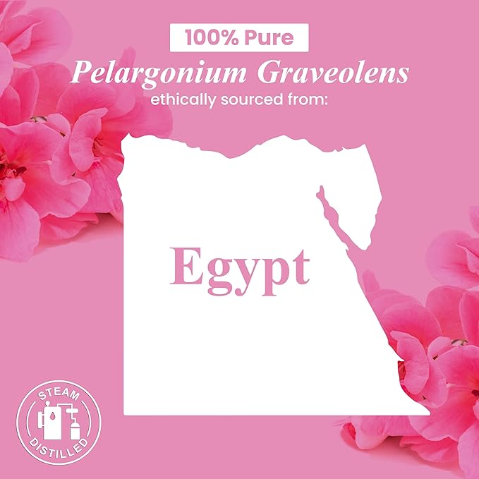 Handcraft Blends Geranium Essential Oil – 1 Fl Oz – 100% Pure and Natural – Premium Grade Essential Oil for Diffuser and Aromatherapy, Skin, Massage, Candle and Soap Making Fragrance