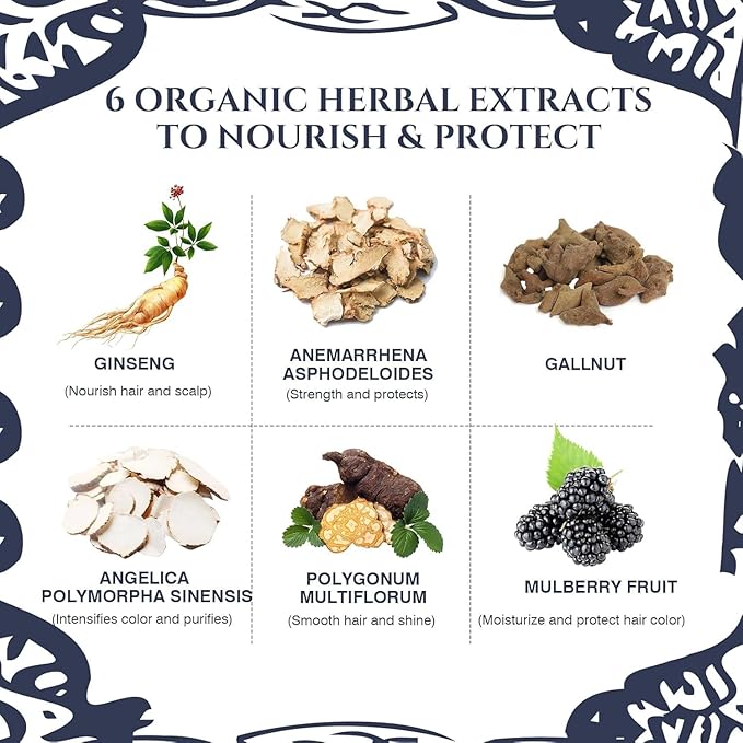 Black Hair Color Ammonia Free/PPD Free/Hydrogen Peroxide Free, Natural Herbal Black Hair Dye for Women Men Gray Hair Coverage, Champu para canas