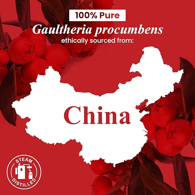 Handcraft Blends Wintergreen Essential Oil – 1 Fl Oz – 100% Pure and Natural – Premium Grade Essential Oil for Diffuser and Aromatherapy, Skin, Massage, Candle and Soap Making Fragrance