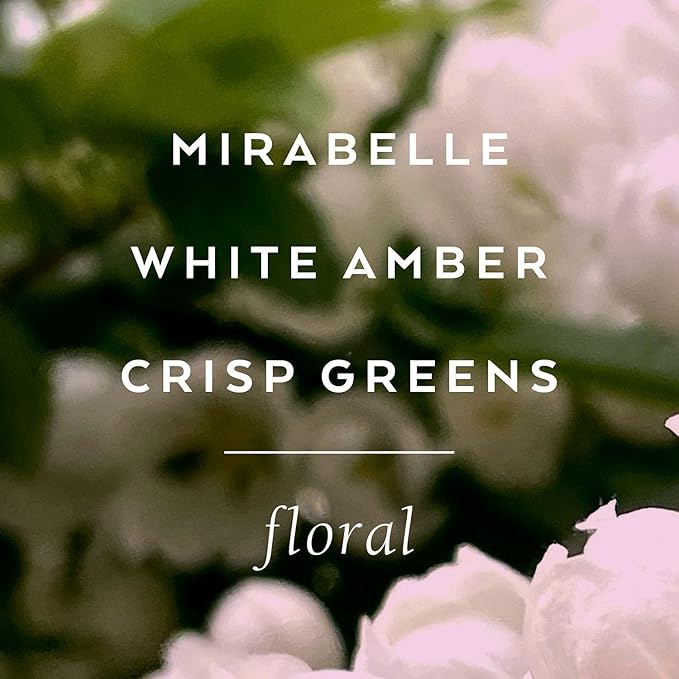 LOLLIA Elegance Body Butter, 5.5 oz. – White Amber & Mirabelle - Shea Butter & Cocoa Butter, Body Lotion for Women, Hydrating & Smooth Body Moisturizer