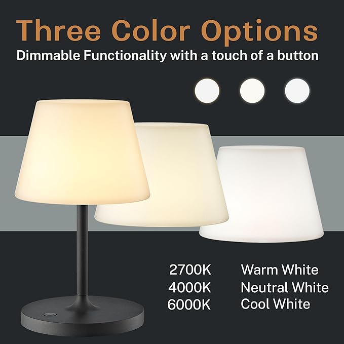Cordless Lamp, 5000mAh Battery Operated Rechargeable Table Lamp with Power Bank, Touch Dimmable 3 Color Temperatures, IP44 Waterproof Shower Lamp for Kitchen, Bathroom, Indoor Or Outdoor Use 9.6in