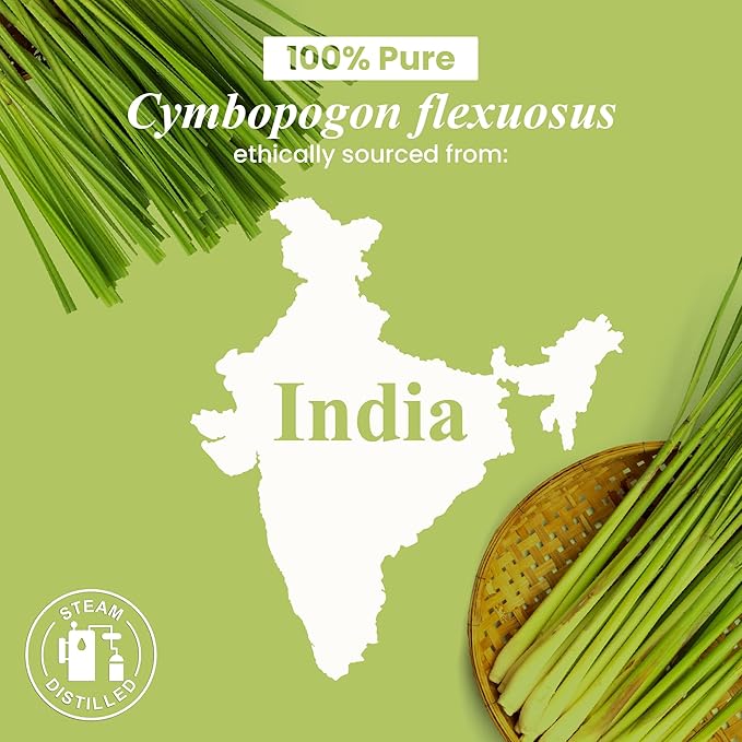 Handcraft Blends Organic Lemongrass Essential Oil – 1 Fl Oz – 100% Pure and Natural – Premium Grade Essential Oil for Diffuser and Aromatherapy