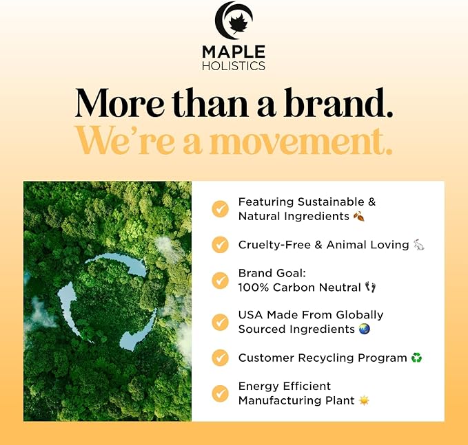 Aromatherapy Roll on Essential Oils Set - Wellness Essential Oils Set Variety Pack with Focus Uplift & Breathe Essential Oil Rollers - Fun & Cute Wellness Gift for Young Women and Teens (3 Pack)