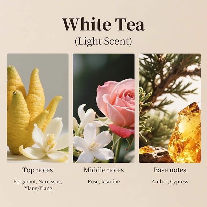 White Tea Waterless Diffuser Oil,Hotel Inspired Luxury Scent,Long Lasting Fragrance Oils for Ultrasonic & Reed Diffusers,Plastic Bottle,100ml(3.4fl oz)