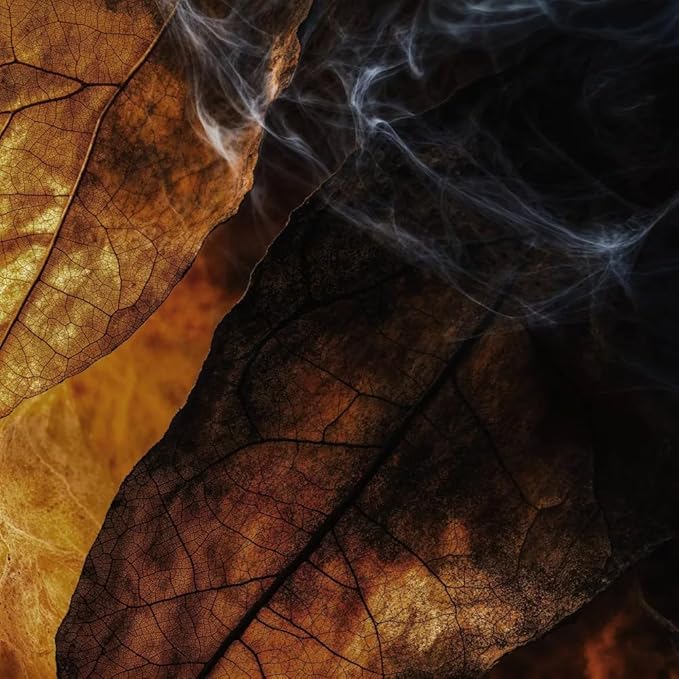 Finery SMOKE LEATHER Men's Eau De Parfum | Men's Eau De Cologne, 2 fl oz | With Makeup Remover Pads Gift