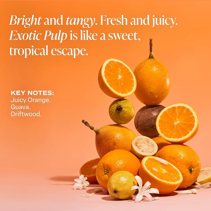 Saltair Skincare Deodorant - Aluminum-Free Deodorant for Women with Long Lasting Odor Protection Zinc and BHA. Refillable Stick, Suitable for Sensitive Skin, 2 Pack Exotic Pulp Scent