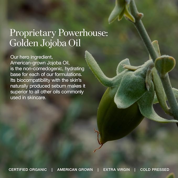 Ogee Complexion Perfecting Under Eye Concealer - Certified Organic Full Coverage Concealer - Buildable Coverage - WALNUT 13.50C - Deep Bronze (Auburn Undertones)