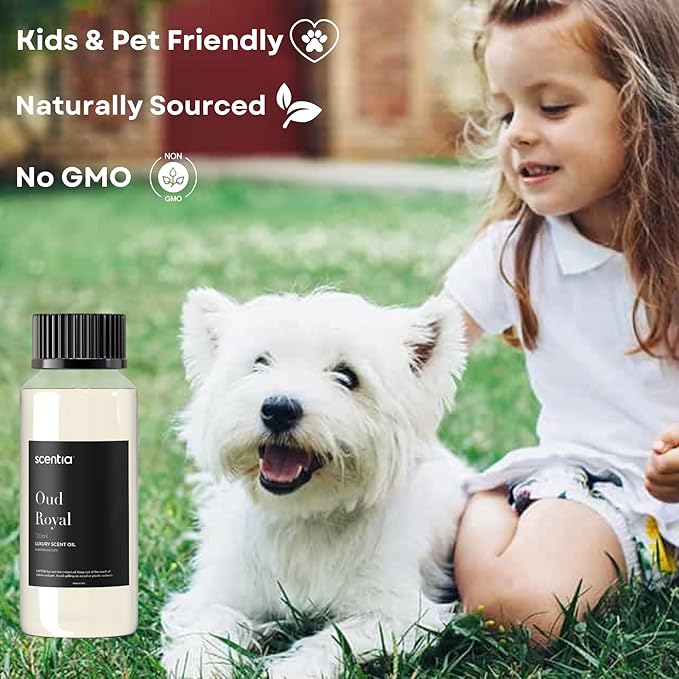 Scentia Oud Royal Hotel Diffuser Oil 120 ml | Oud Royal for Scent Diffuser |Thanksgiving & Holiday Gift Luxurious Aroma, Niche Scent, Cardamom, Rosewood & Oud | 120ml Aromatherapy Fragrance