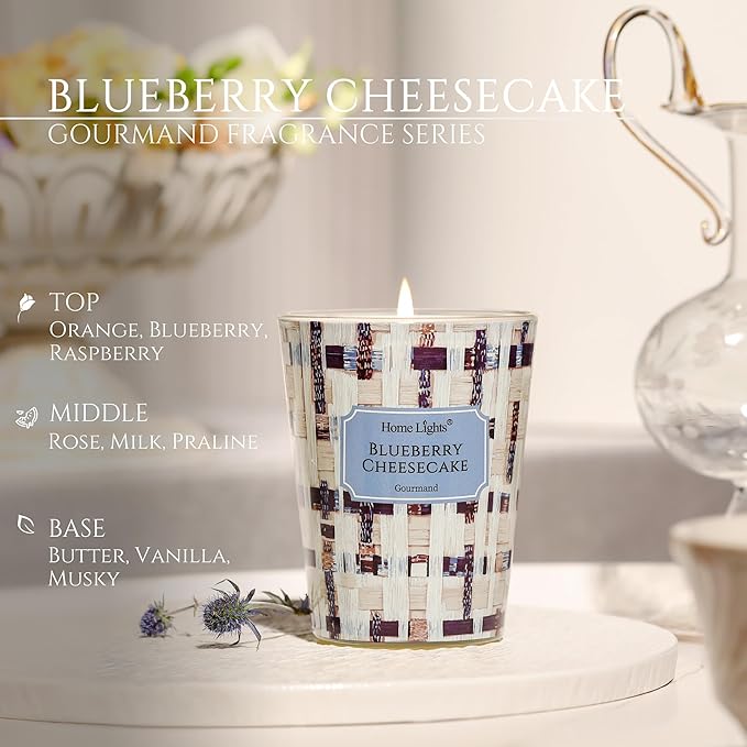 HomeLights Scented Candles for Women & Men, 6.7oz Candle Jars Aromatherapy Single Wick Candle, Ideal for Rustic Modern Home Decor and Gifts, Blueberry Cheesecake
