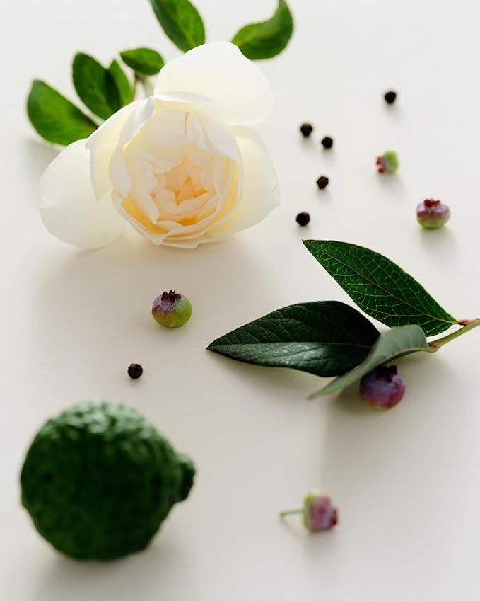 Maison Louis Marie - Antidris Cassis Natural Roll-On Perfume Oil | Luxury Clean Beauty + Non-Toxic Fragrance (0.5 fl oz | 15 ml)