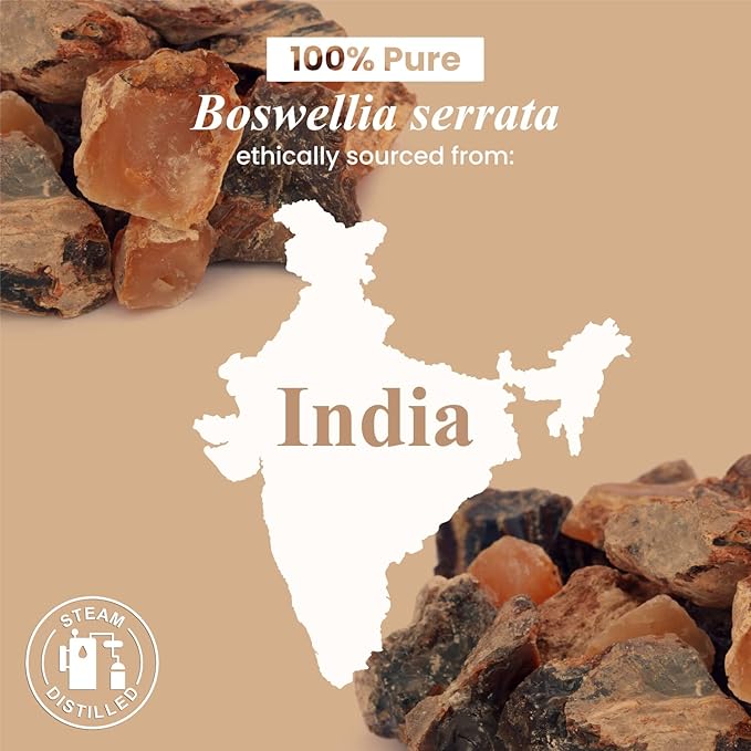 Handcraft Blends Frankincense Essential Oil – 0.33 Fl Oz – 100% Pure and Natural – Premium Grade Essential Oil for Diffuser and Aromatherapy, Skin, Massage, Candle and Soap Making Fragrance