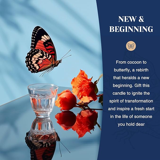 M&SENSE Holiday Scented Candle Gift for Women and Men - Sandal Wood Jasmin Scent, 10 oz Soy Wax, Birthday,Holiday, Christmas, New Year Gift