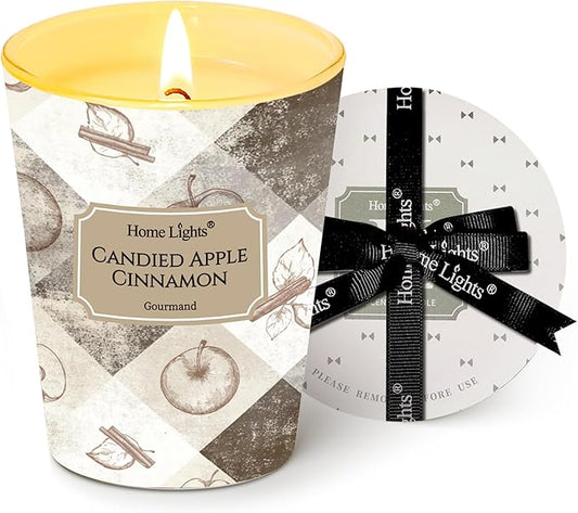 HomeLights Large jar Candle | 1-Wick Long-Lasting Scented Candles, 6.7oz Natural Soy Wax Candle for Home Scented, Rustic Modern Gifts for Women & Men, Candied Apple Cinnamon