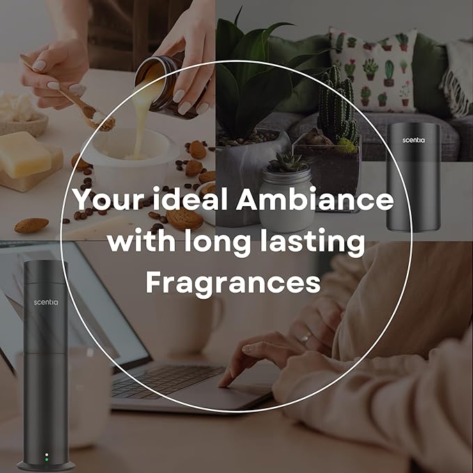 Scentia Fragrance Oil Blend, Inspired by Iconic Perfume, Home Luxury Scents, Essential Oil Blend Aromatherapy Diﬀusers, Humidifiers & Candle Making -Dream Away|120ml | 4.06 Fl Oz, Thanksgiving Gift