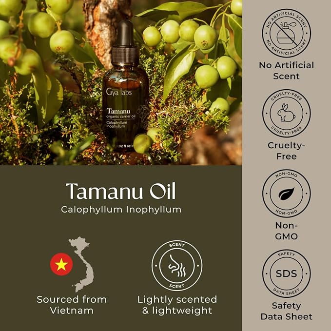 Gya Labs Tamanu Carrier Oil - 1 Fl Oz - for Hair, Skin, Face, Scalp & Body Massage