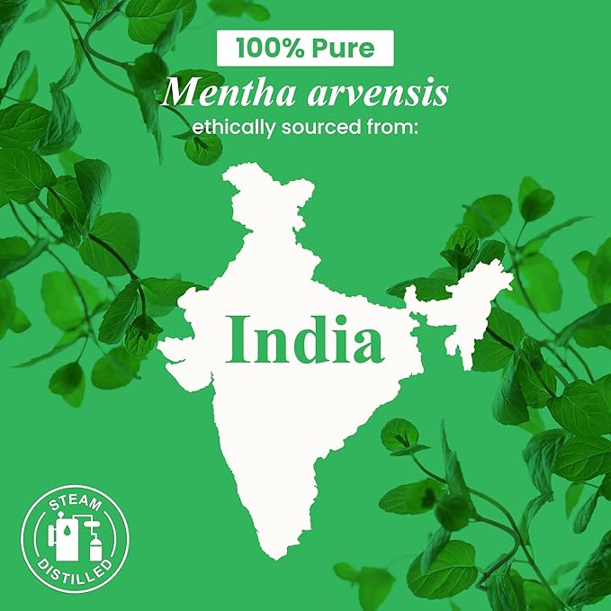 Handcraft Blends Peppermint Essential Oil in Glass Bottle – Huge 16 Fl Oz – 100% Pure and Natural – Premium Grade Oil for Diffuser and Aromatherapy, Skin, Massage, Candle and Soap Making Fragrance