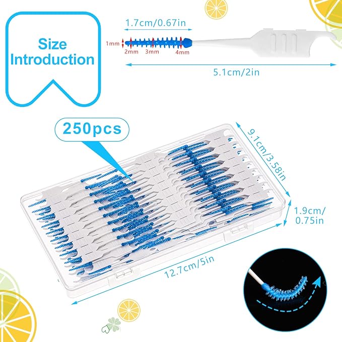 250 Pieces Dental Floss Picks, Silicone Interdental Brushes with Case Dental Brushes Dental Picks Blue Tooth Floss Picks for Teeth Cleaning(Blue)