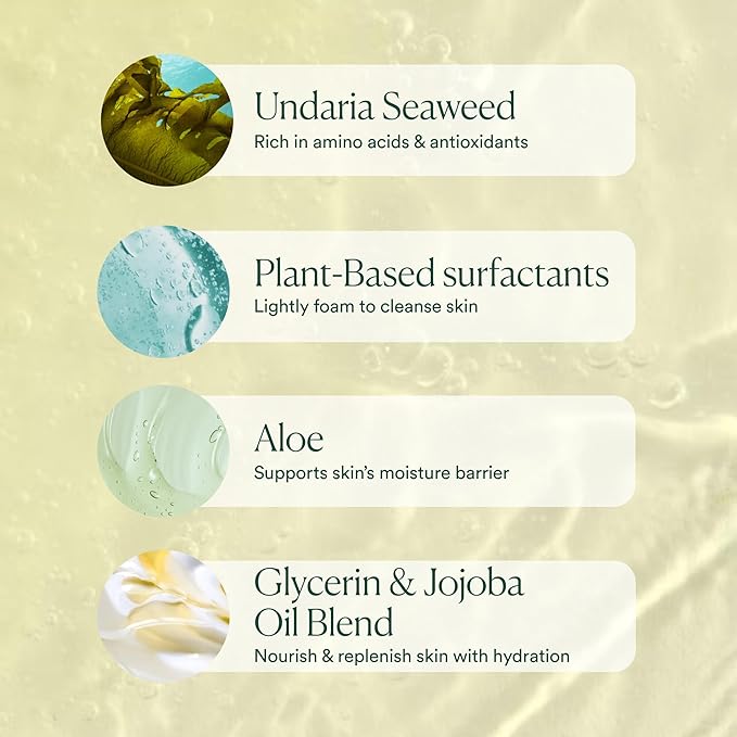 OSEA Undaria Algae™ Body Wash 8 fl oz - Hydrating & Moisturizing Body Wash - Citrus Scented Cleanser