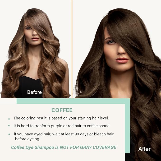 Brown Hair Dye Shampoo, Hair Color Shampoo for Women Men, Covers Grays in Minutes, Long Lasting Brown Hair Dye, Champu Para Canas, Easy to Use 16.90 Fl Oz