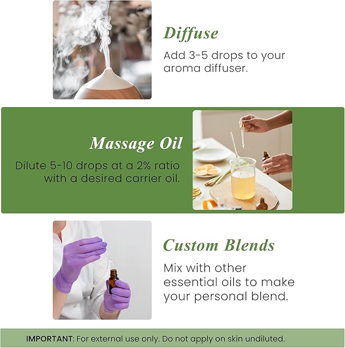 Handcraft Blends Rosemary Essential Oil – 1 Fl Oz – 100% Pure and Natural – Premium Grade Essential Oil for Diffuser and Aromatherapy, Skin, Massage, Candle and Soap Making Fragrance