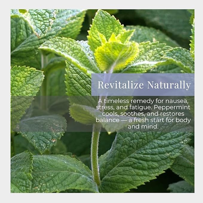 Silk Road Organic Peppermint Essential Oil Roll On, USDA Certified, for Morning Sickness, Motion Sickness & Nausea - 10 ml Aromatherapy Roller