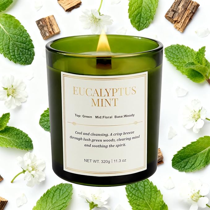 2 Pack Candles for Home Scented,Wood Wick Eucalyptus Mint Scented Candle,22.6 oz 150 Hour Long Burning Lasting, Natural Soy Wax Candles Gifts Set,for Christmas Day