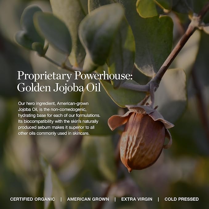 Ogee Complexion Perfecting Liquid Foundation - Lightweight Tinted Moisturizer For Face (Linden 1.25N - Light Beige, Neutral Undertone) - with Vitamin C & Jojoba Oil - Certified Organic & Made in USA