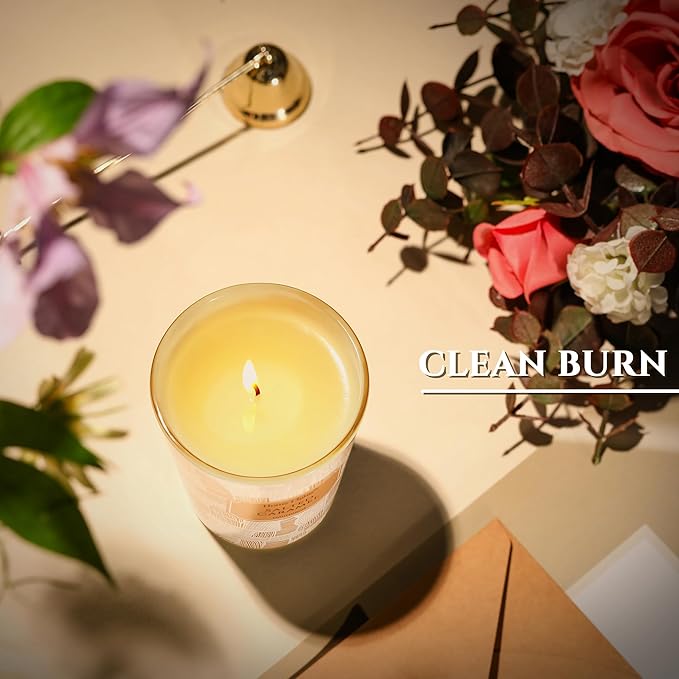 HomeLights Soy Wax Candles for Home Scented, 1-Wick Candles in Salted Caramel Scented, Rustic Modern Aromatherapy Candles Gift for Parties, Relaxing, 6.7oz