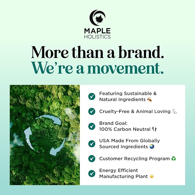 Soothing Aloe After Sun Spray - Rehydrating Aloe Spray for Sunburn Relief for Cooling After Sun Care with Vitamin E Hyaluronic Acid & Cucumber Extract - Cruelty Free & Dermatologist Tested (2 Pack)