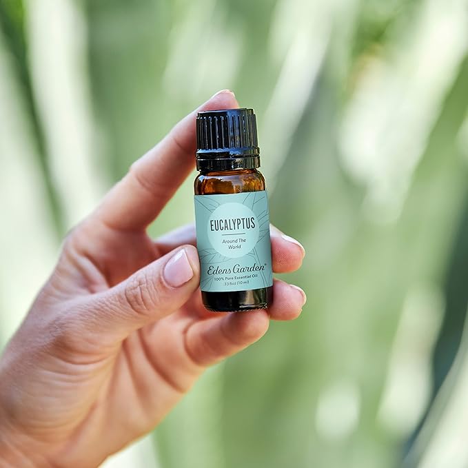Edens Garden Eucalyptus Around The World Essential Oil- 100% Pure Premium Grade, Undiluted, Natural, Therapeutic, Aromatherapy, The Best for Diffuser, Candle, Laundry, Humidifiers 30 ml (1 fl oz)