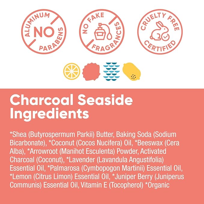 Pretty Frank Natural Aluminum-Free Deodorant Stick, Charcoal Seaside (1-Pack) | All-Day Odor Control for Women & Men | Effective, Safe, Organic Ingredients, Added Charcoal and Essential Oils