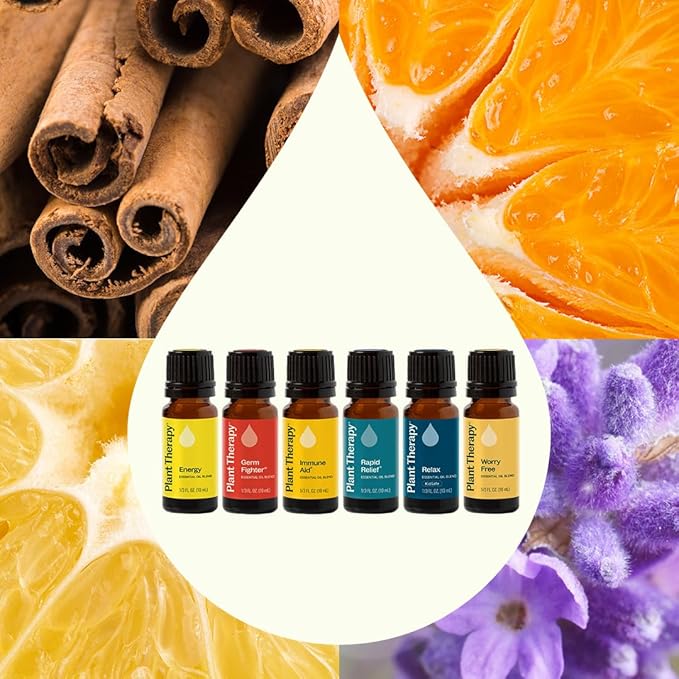 Plant Therapy Essential Oil Blends Set, Top 6 Most Popular, 100% Pure, Undiluted, Natural Aromatherapy, Therapeutic Grade, 10 mL
