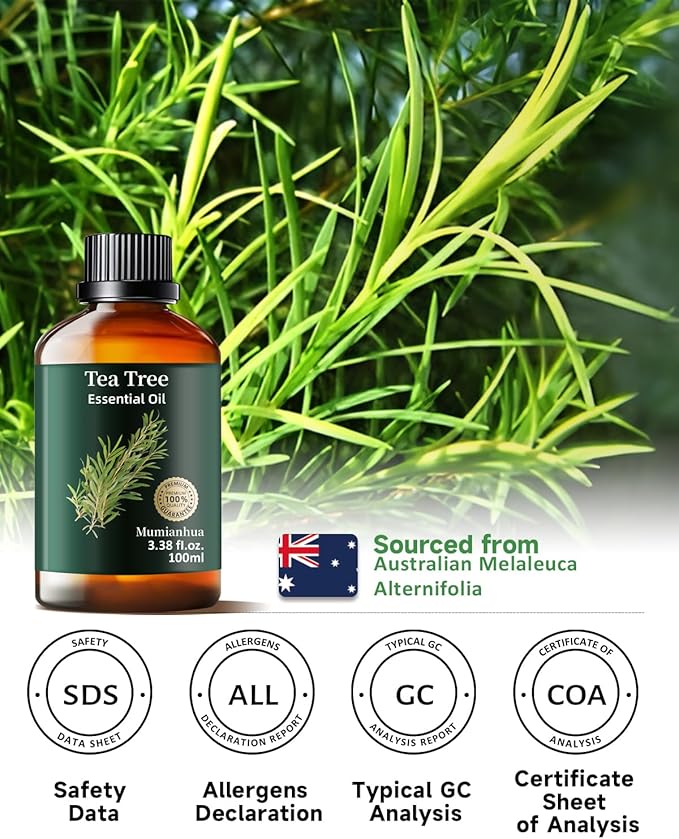 Tea Tree Essential Oil Pure Mumianhua Natural Tea Tree Oil for Diffuser, Aromatherapy, Skin, Face, Toenails, Foot Soak and DIY Soap Making 3.38 Fl Oz