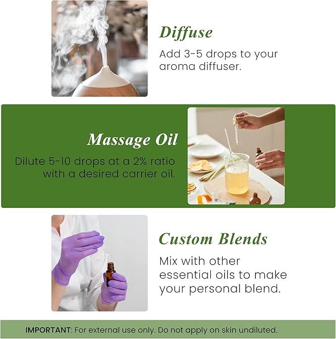 Handcraft Blends Bergamot Essential Oil – 1 Fl Oz – 100% Pure and Natural – Premium Grade Essential Oil for Diffuser and Aromatherapy, Skin, Massage, Candle and Soap Making Fragrance